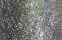 Boslowick fibreglass roof work